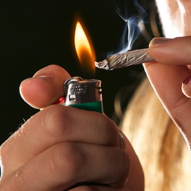 Of course, listening to Marley or Sublime sometimes makes me want to, uh...what were we talking about?