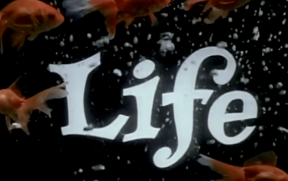 Screen Shot 2016-01-27 at 9.26.54 PM