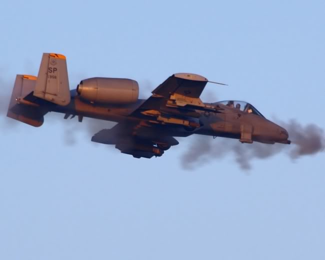 Ray & The&nbsp;Warthog